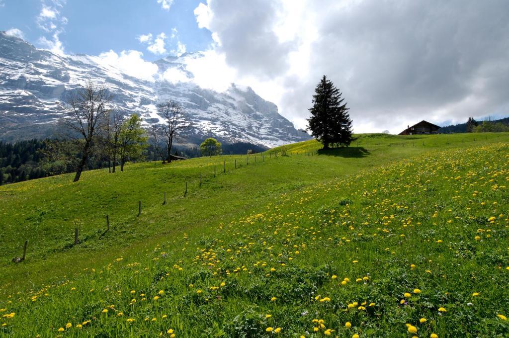 Aspen Alpine Lifestyle Hotel Grindelwald Exteriér fotografie